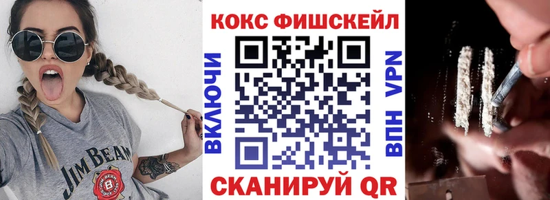 магазин продажи наркотиков  Купино  Cocaine Эквадор 