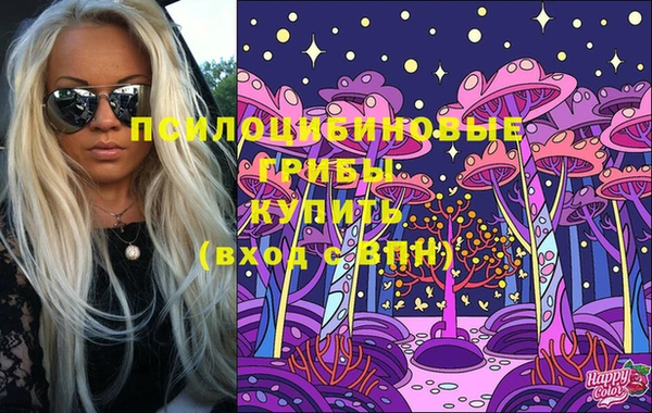 марки nbome Белокуриха