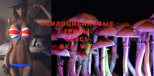 марки nbome Белокуриха