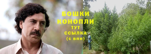 прущие крисы Белоозёрский