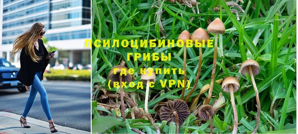 прущие крисы Белоозёрский