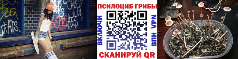 hydra вход  Купино  Галлюциногенные грибы ЛСД  продажа наркотиков 